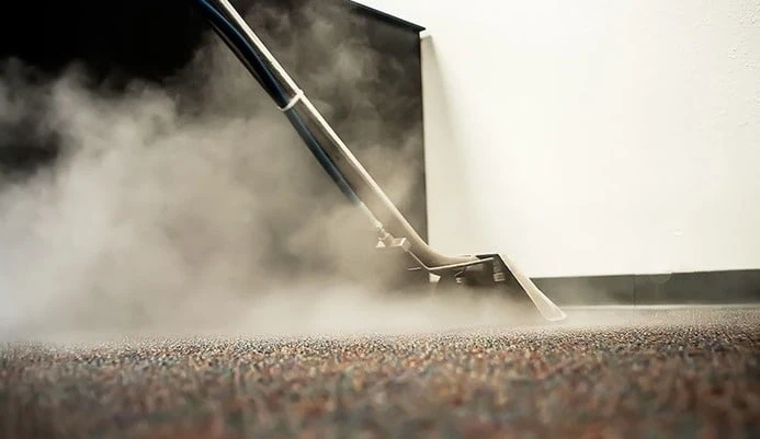Hot water extraction vs steam cleaning: what's really happening