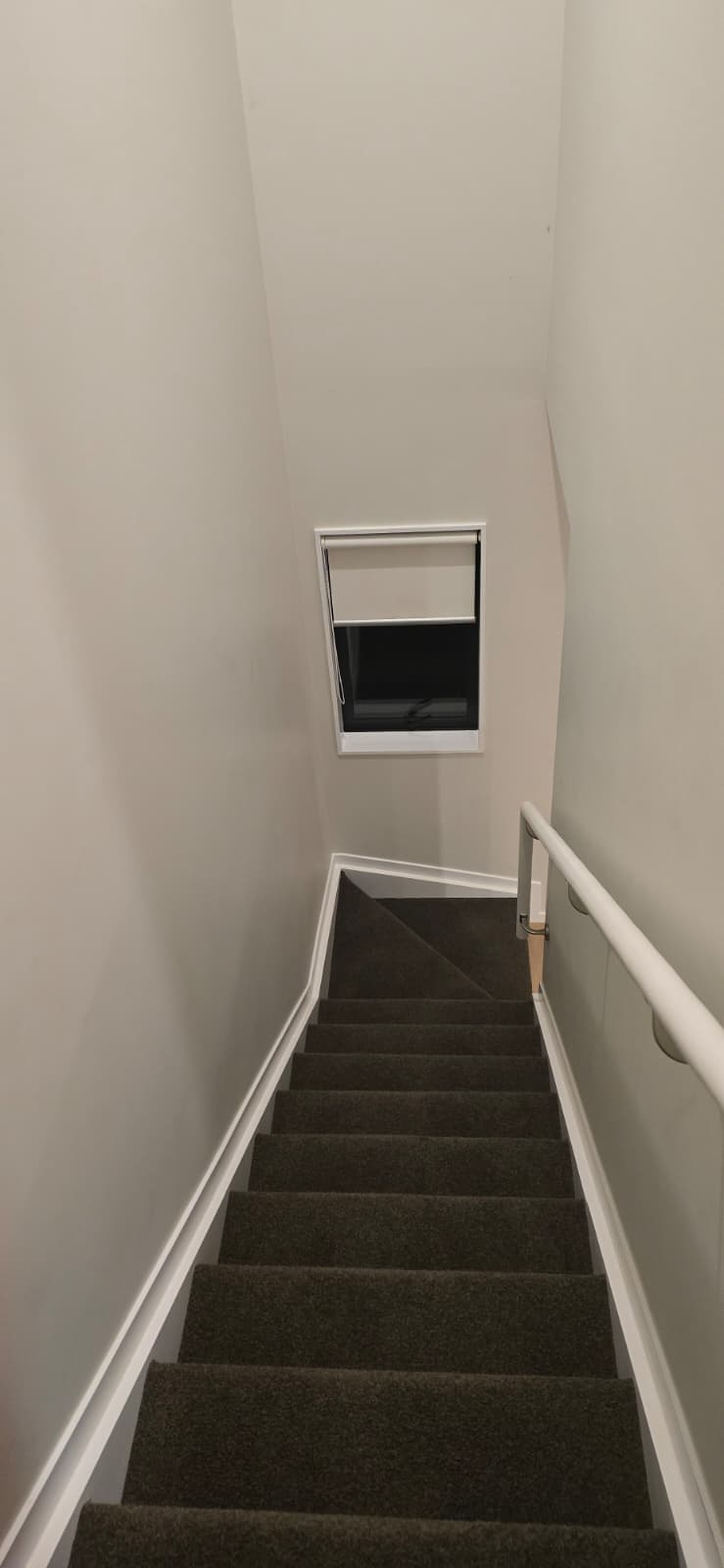 Carpet cleaning