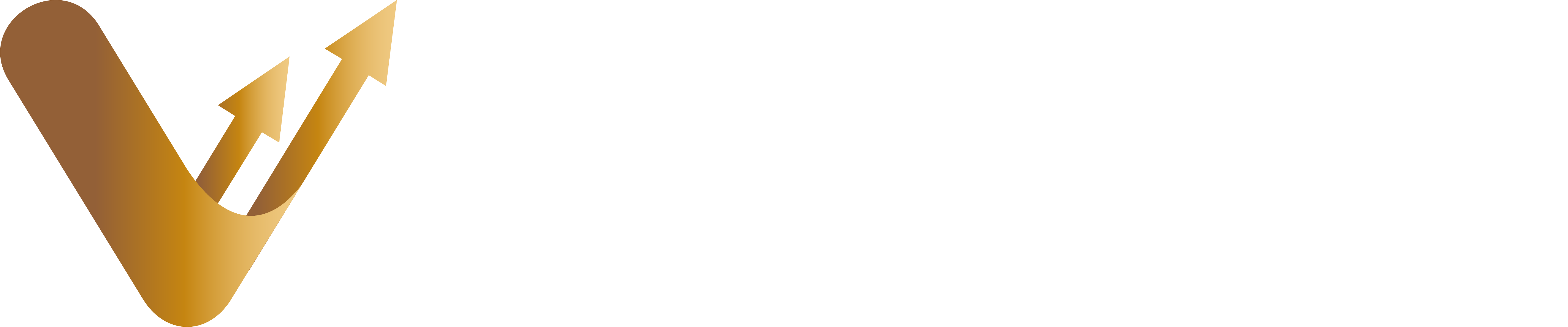 Vendor Vantage Logo