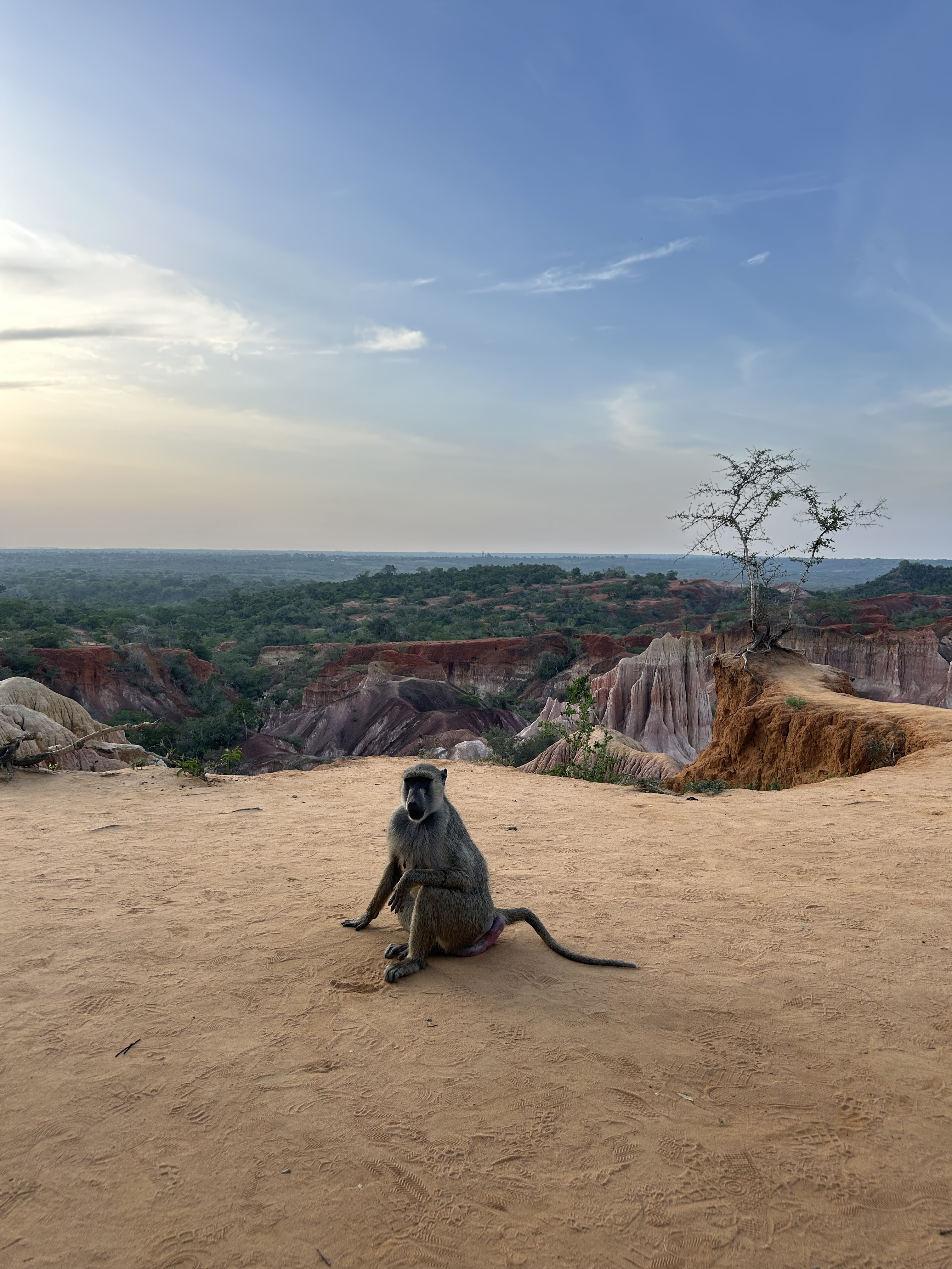 Foto di viaggio – diario visivo Altara