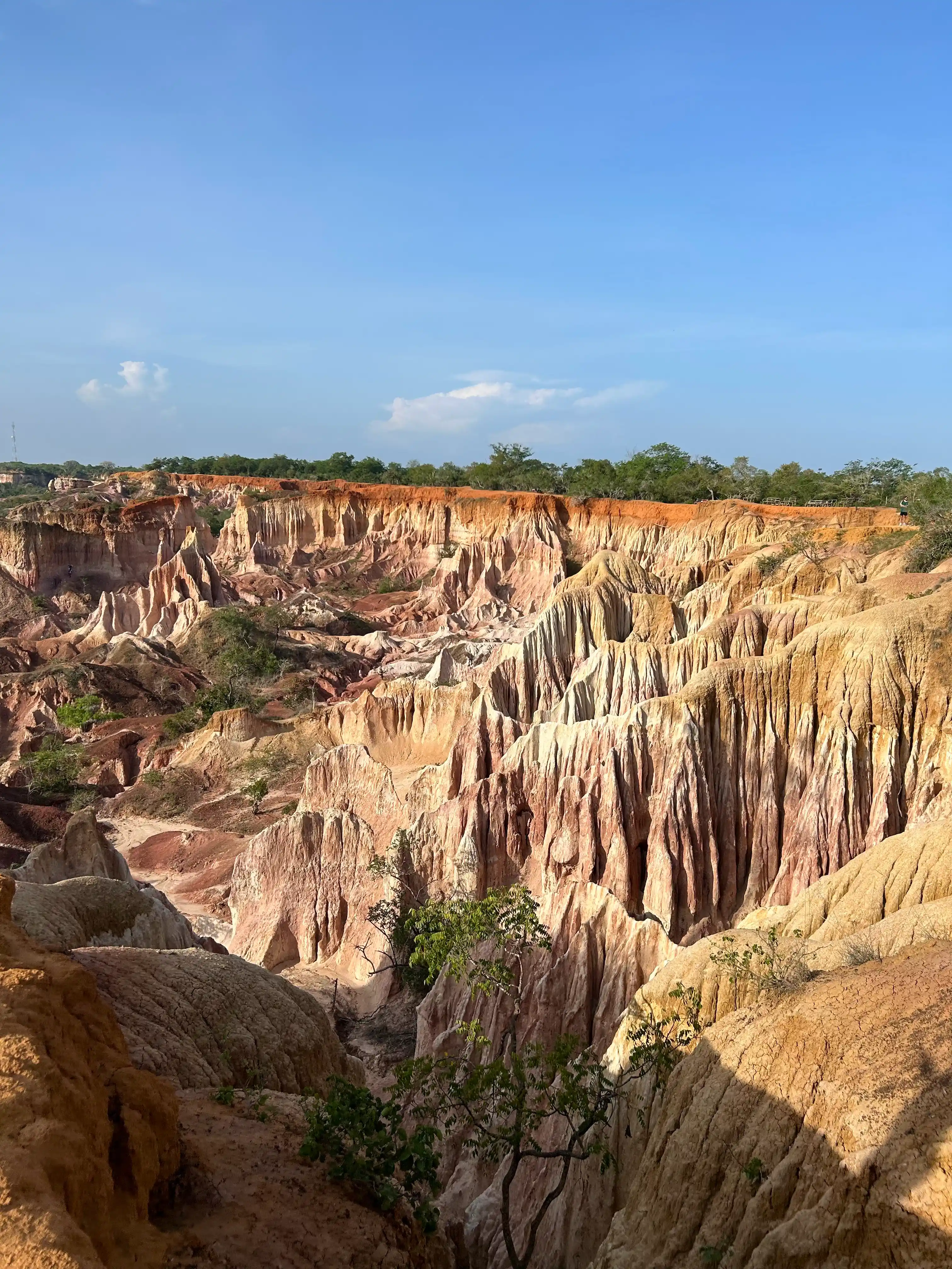 Canyon e natura