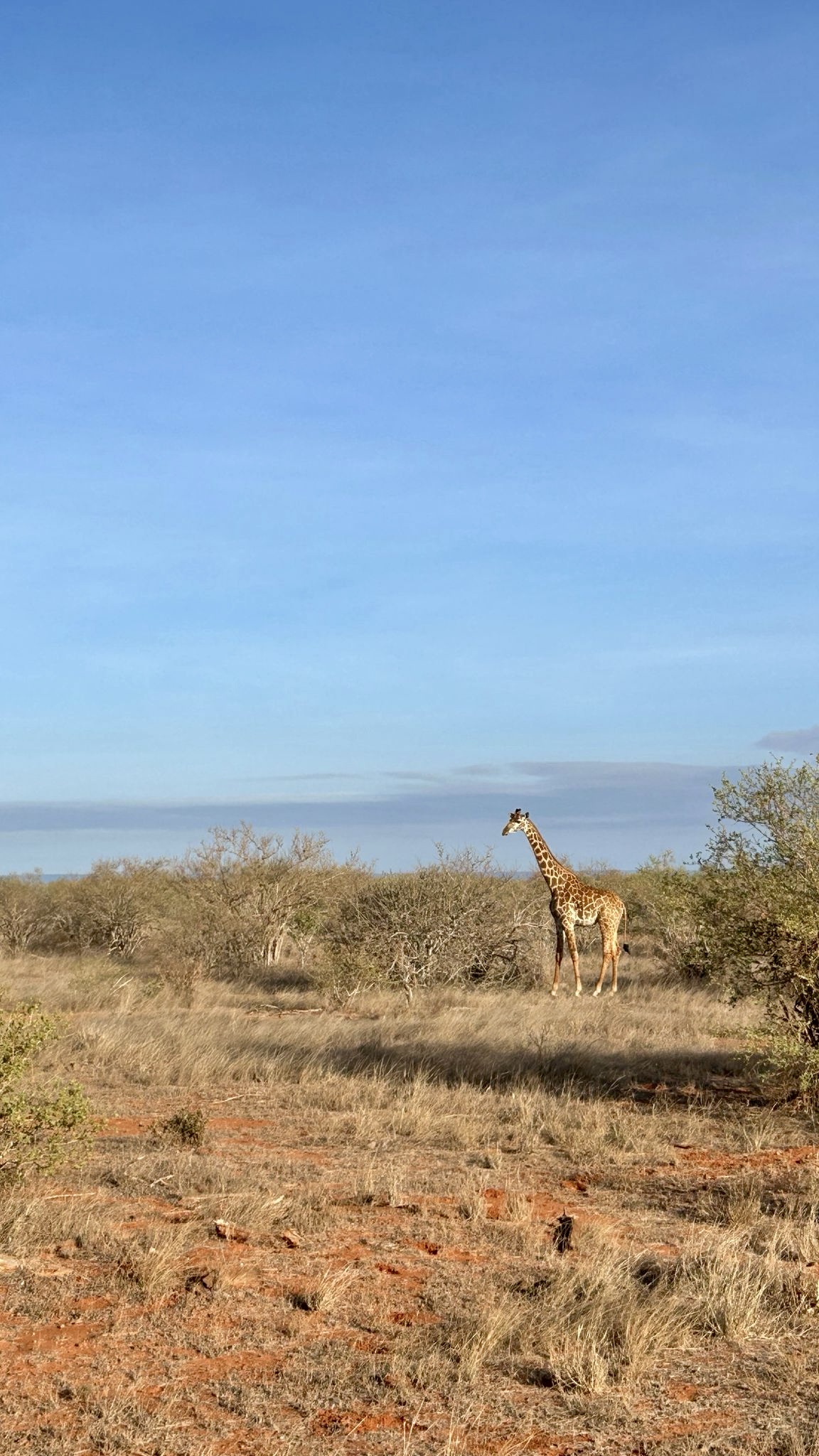 Foto di viaggio – diario visivo Altara