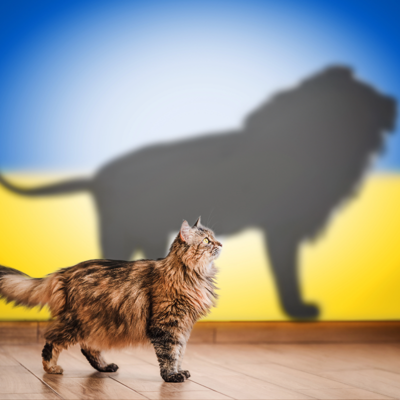 Lion background