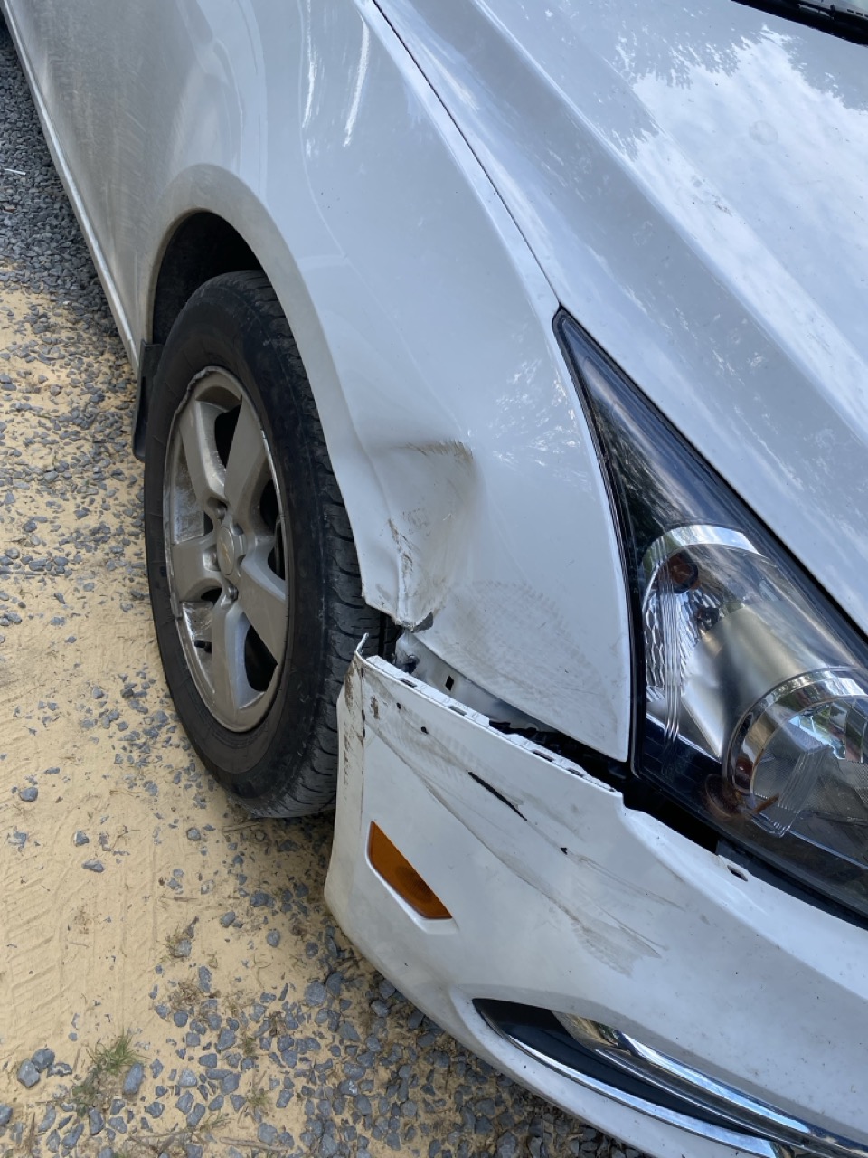 Collision & Auto Repair