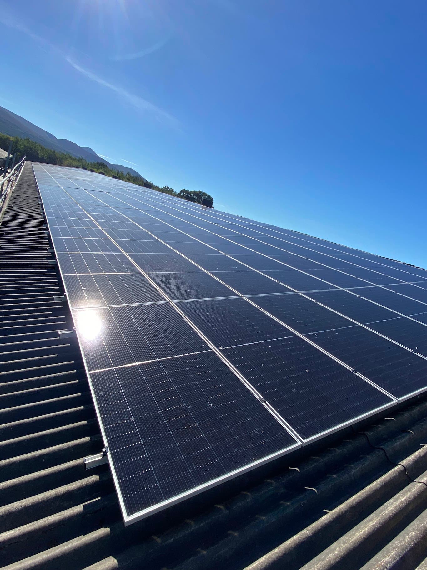 Extensive rooftop commercial solar PV array under bright blue sky