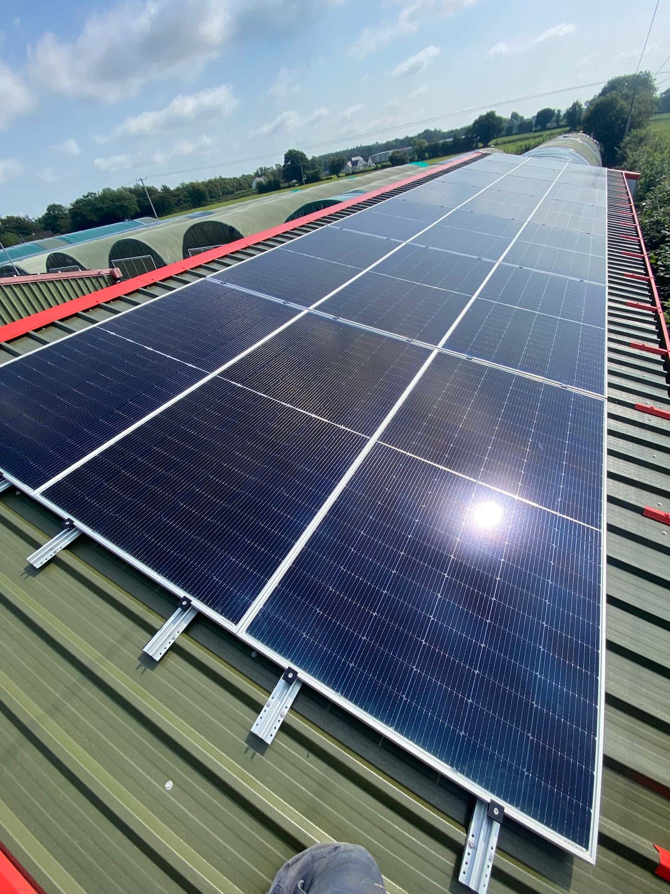 Solar panels installed on a green agricultural roof