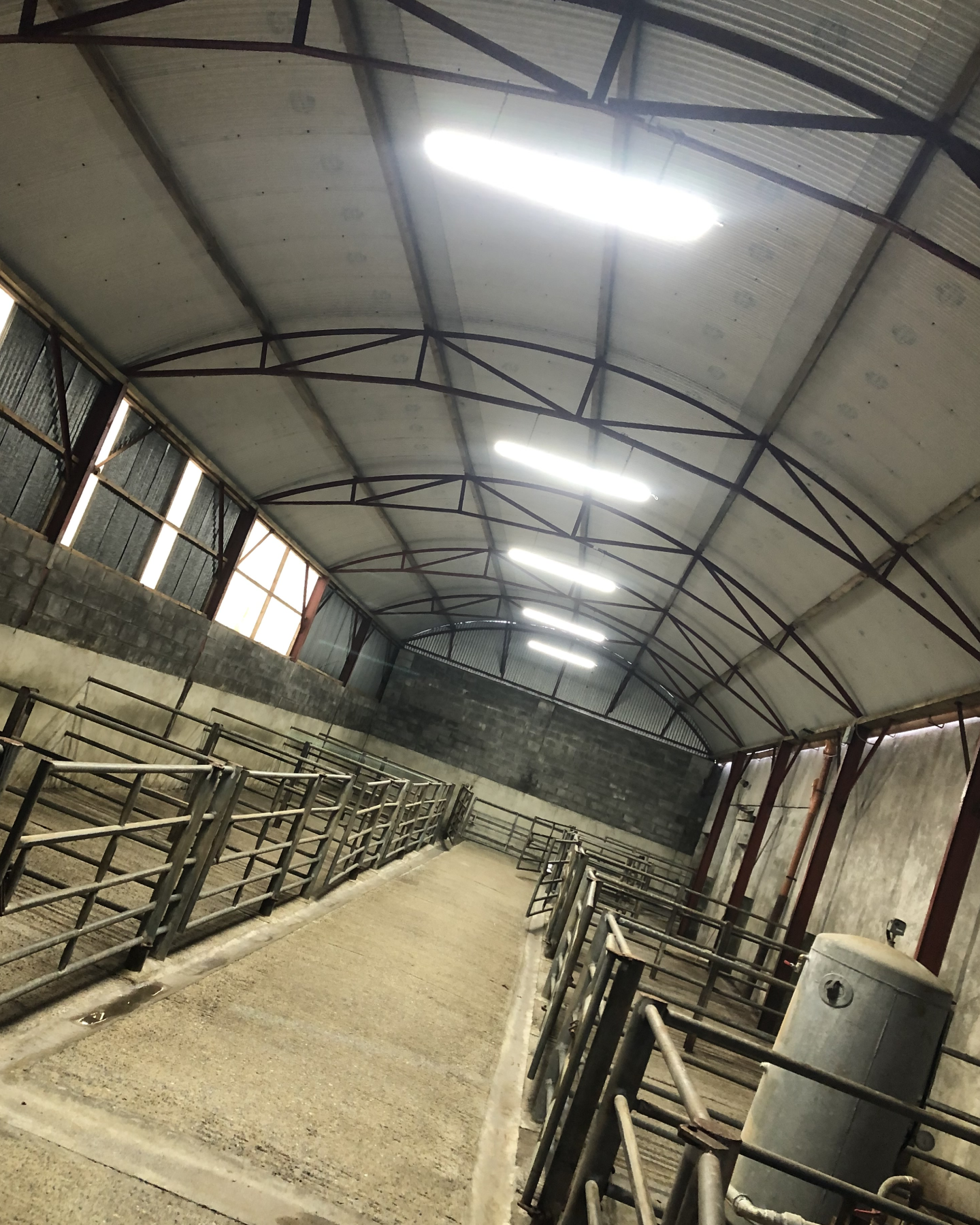 Agricultural shed LED lighting installation with bright industrial strip lights