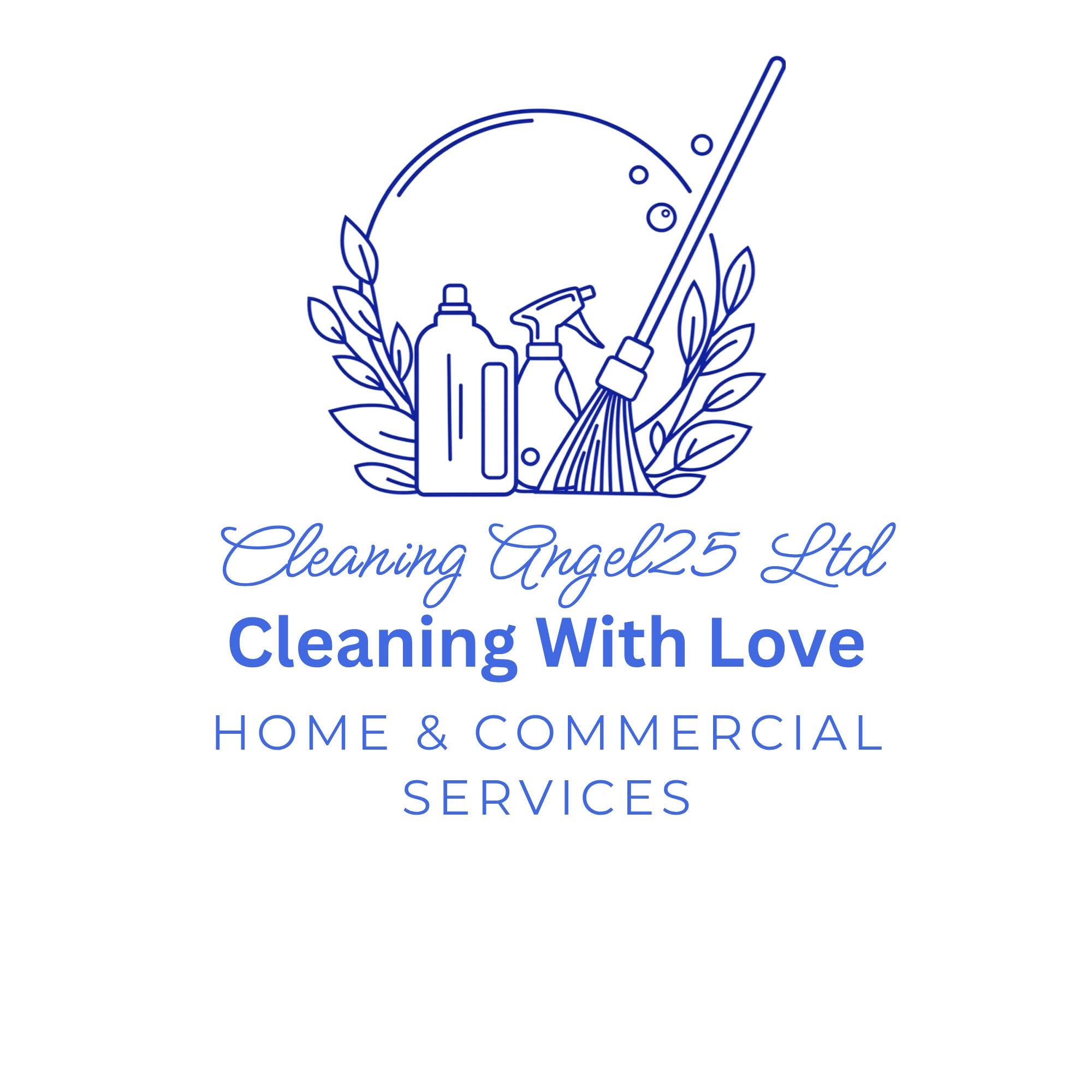 Cleaning Angel25 Logo