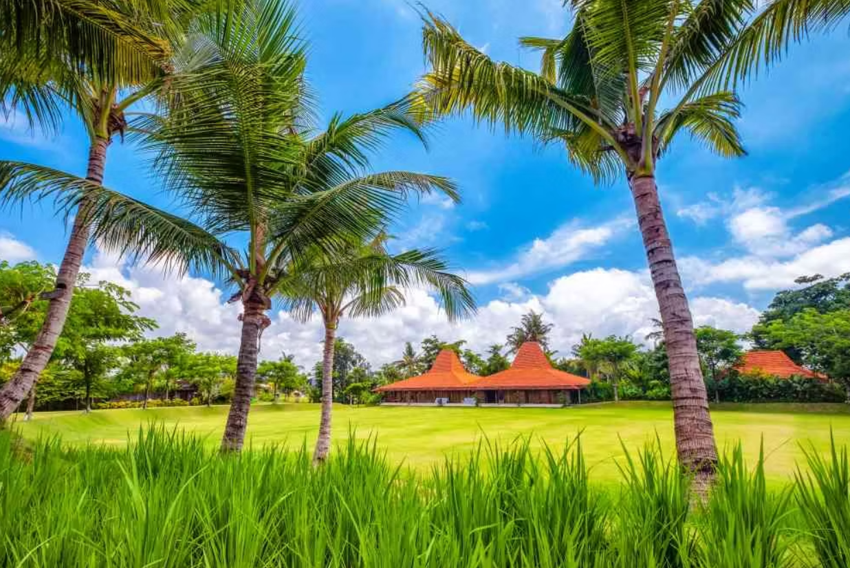 Resort Grounds