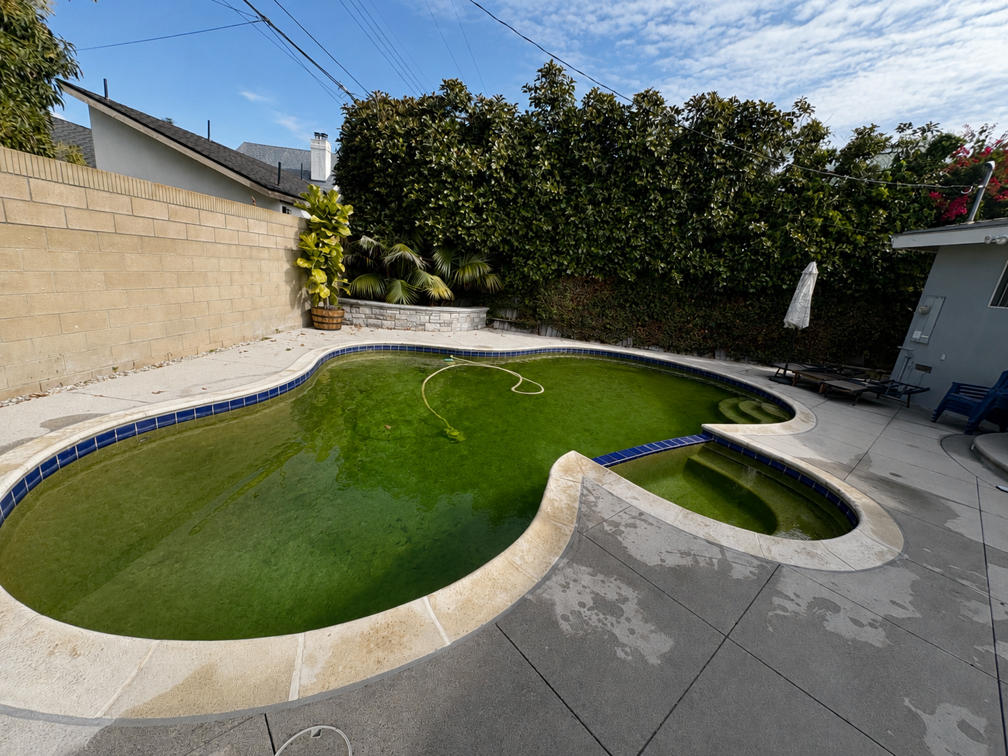 Before: Green to clean pool service Newport Beach