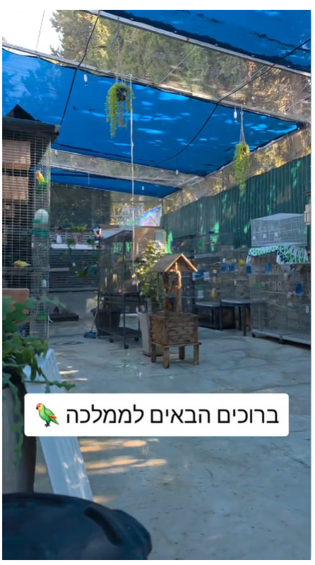 תמונה 1