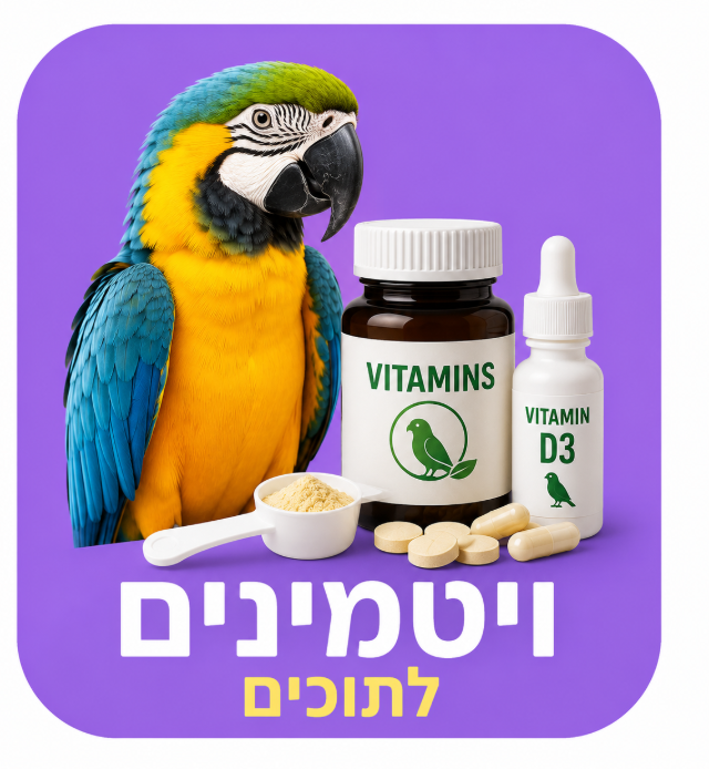 ויטמינים