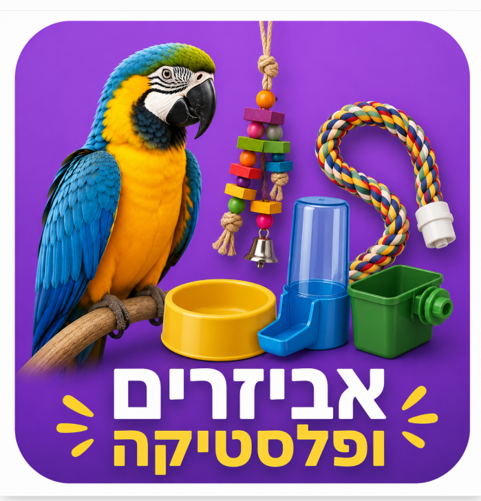 אביזרים ופלסטיקה