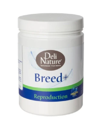תוסף רביה BREED עם ויטמין E גרם דלי נייצ'ר