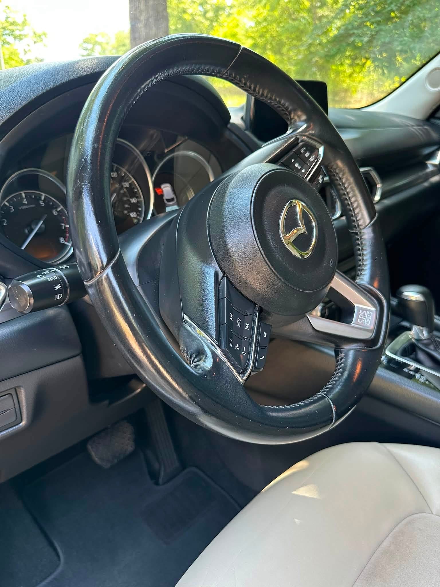 Interior Detail - Steering Wheel