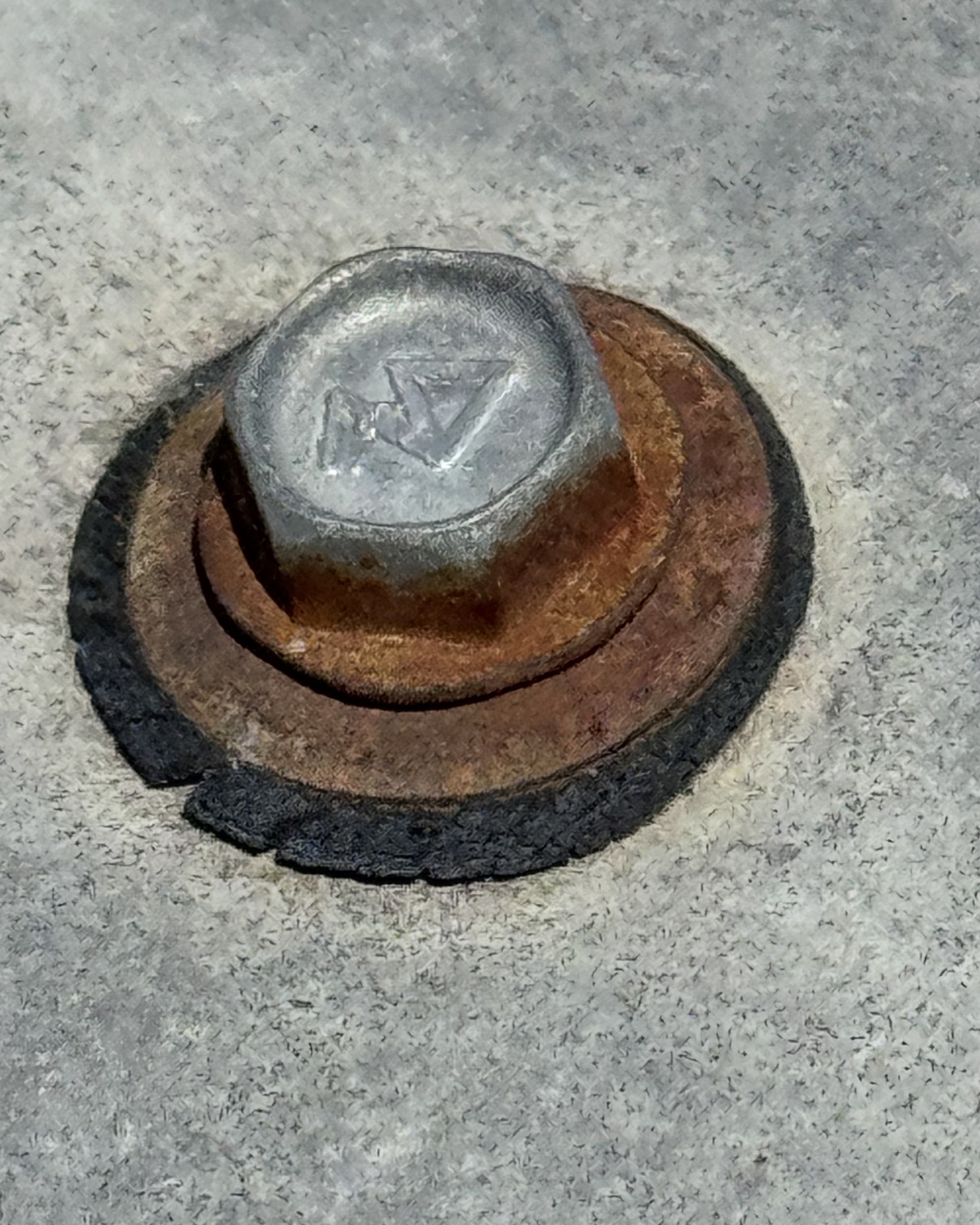 Close-up of a metal roof screw with corrosion around its washer