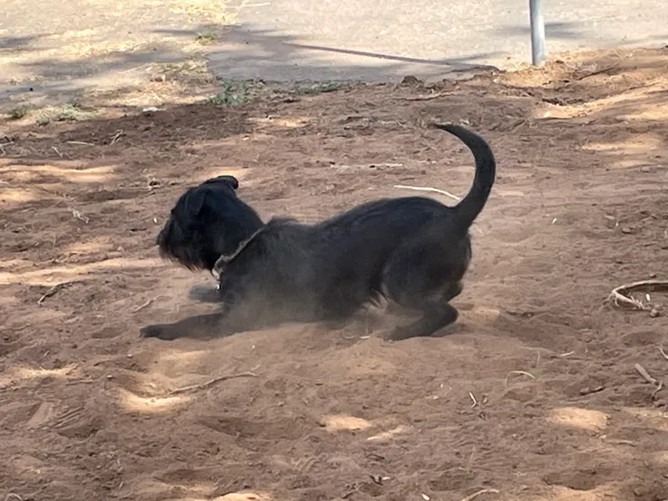 Playtime