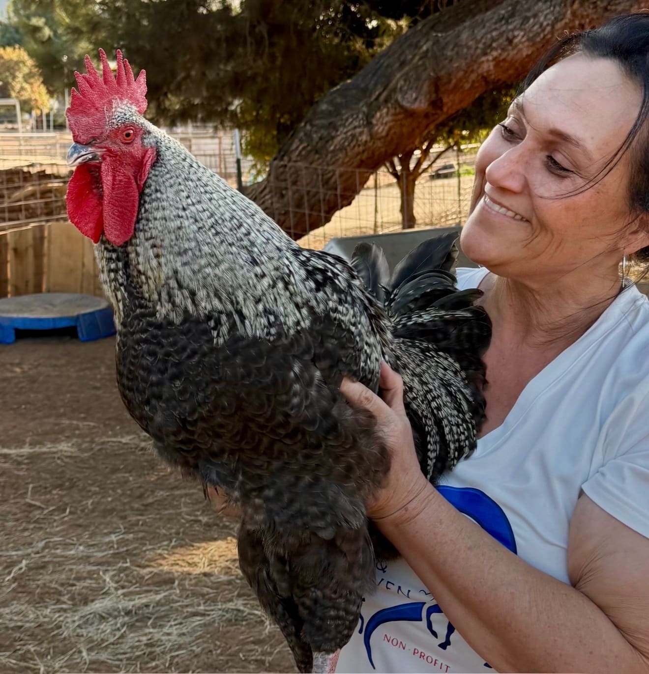 Woman holding a large rooster