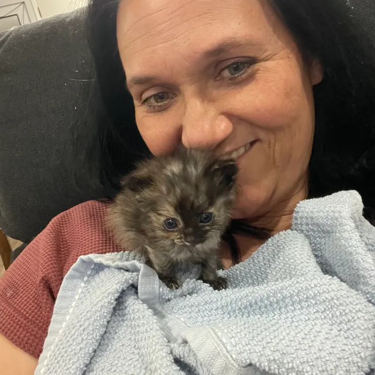 Kitten Cuddles
