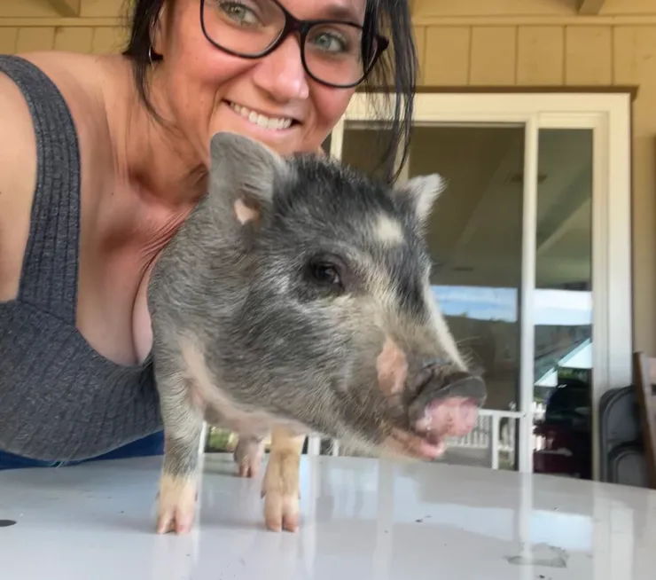 Piglet Cuddles