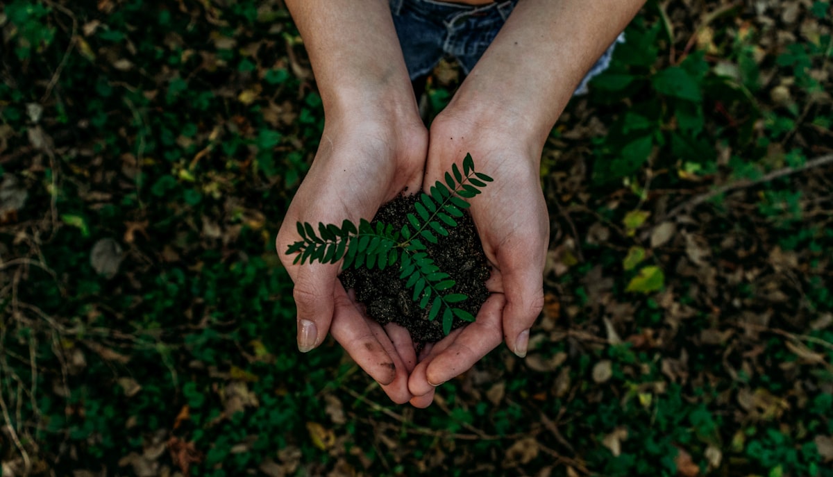 Sustainability Vision