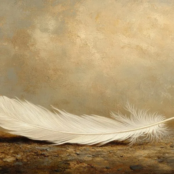 Delicate white feather on textured surface
