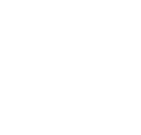 INDUBLOCK Mark
