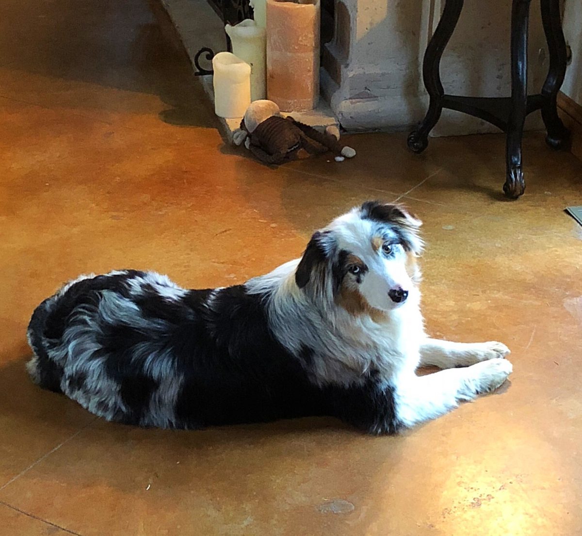 Sophie