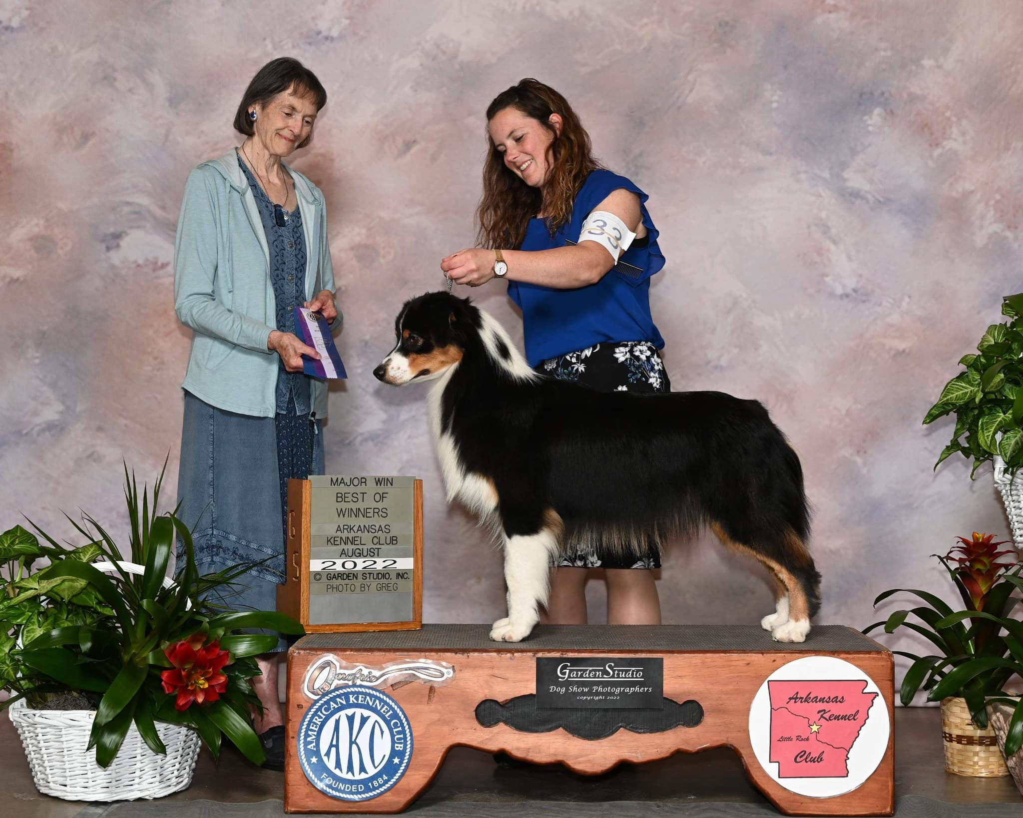 GCH LDV's Midas Touch "Banks"