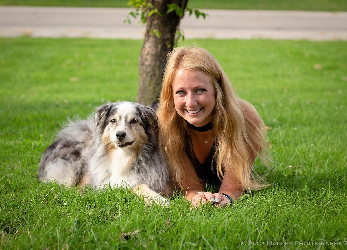 Blue merle Australian Shepherd at La Dolce Vita Farms