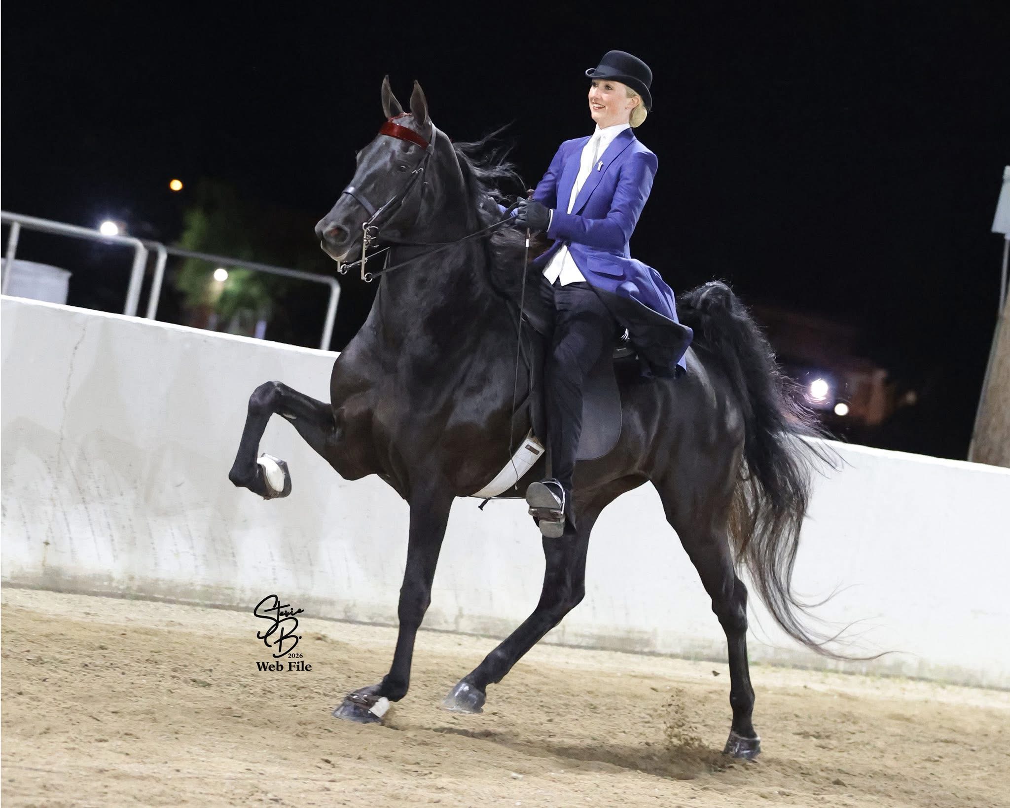 La Dolce Vita Farms American Saddlebred — photo 7