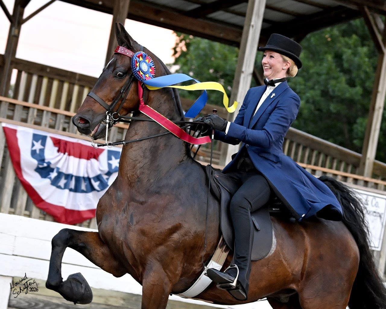 La Dolce Vita Farms American Saddlebred — photo 4