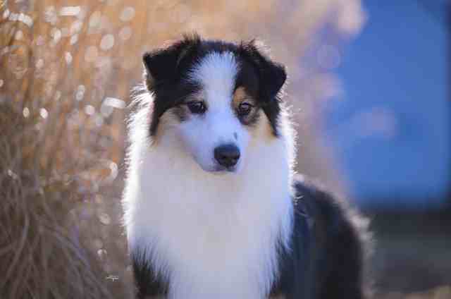 Winnie portrait 1
