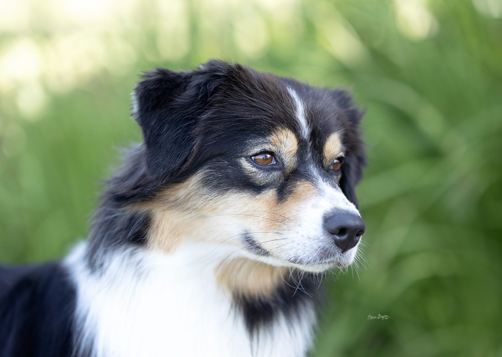 Hope portrait 2