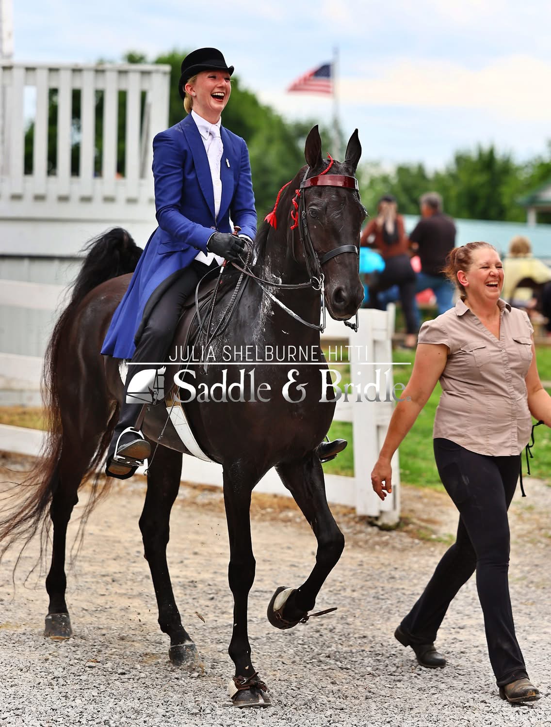 La Dolce Vita Farms American Saddlebred — photo 6