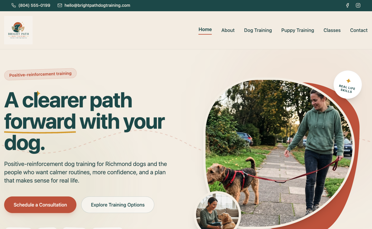 Website example 3