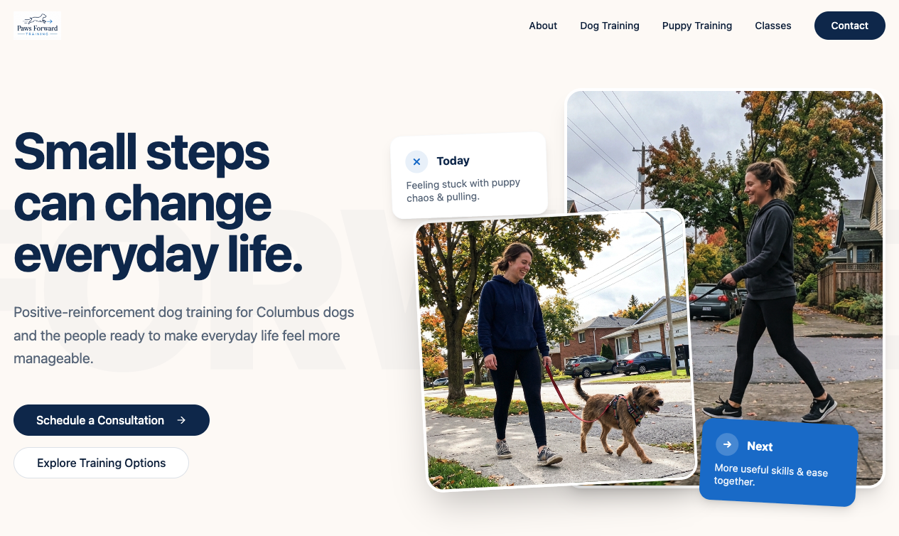 Website example 1