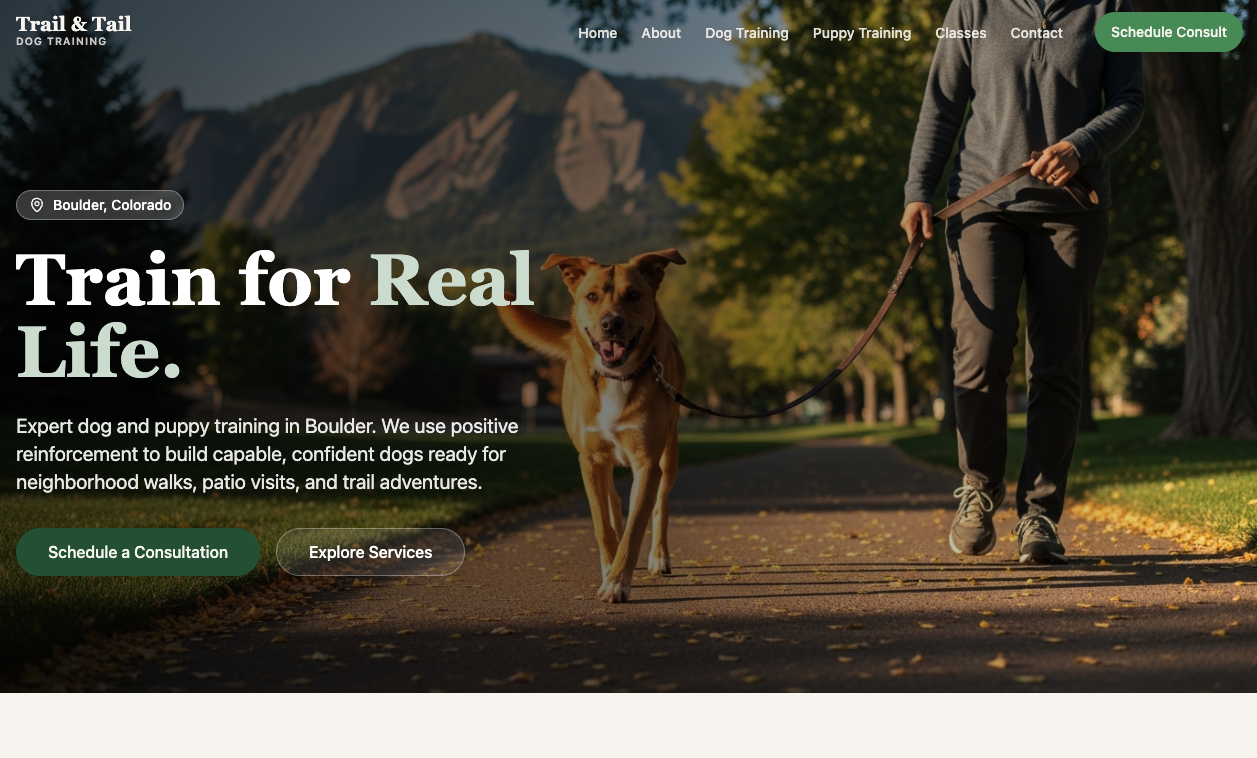 Website design example 3