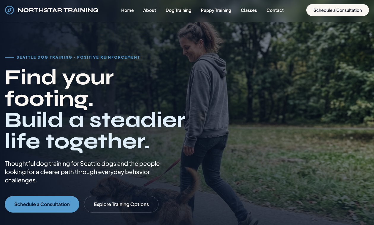 Website example 2