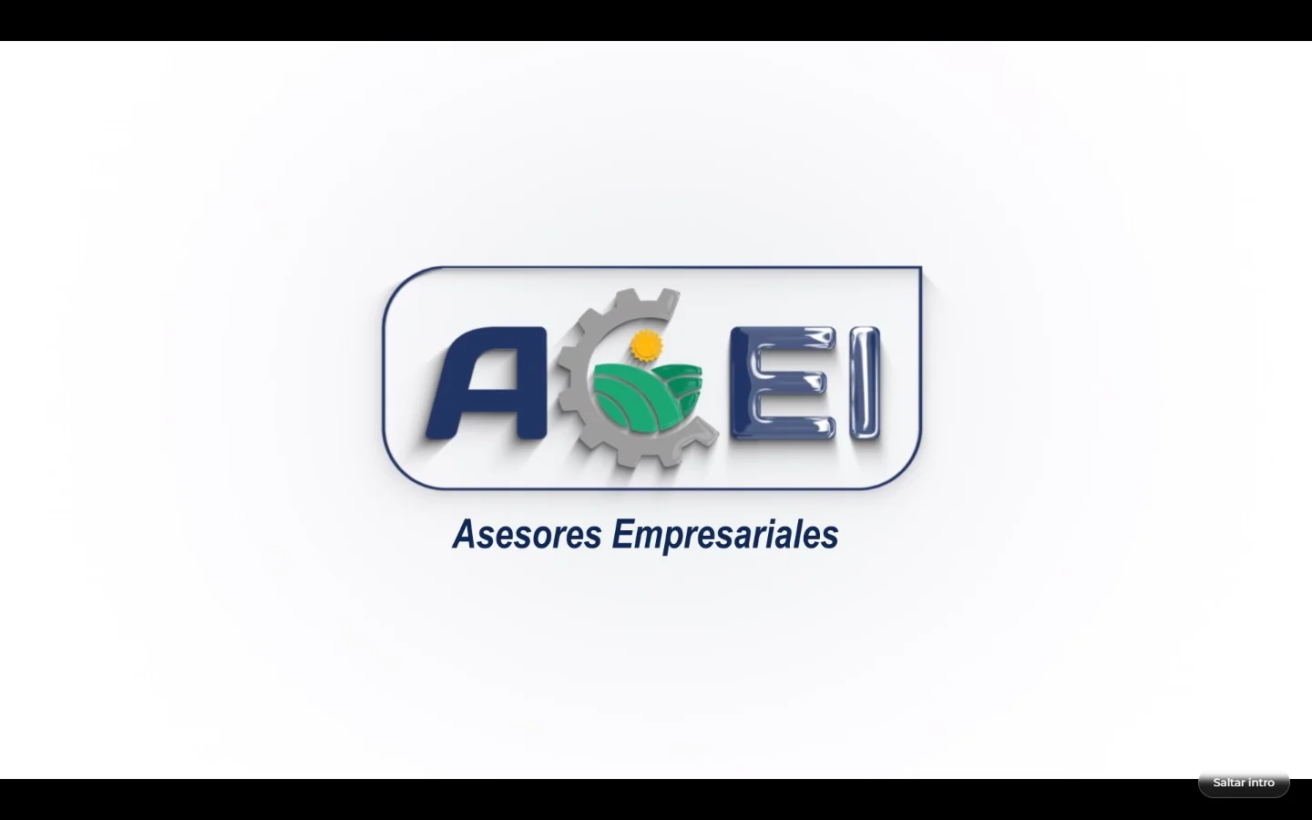 Asesores ACEI — Servicios profesionales