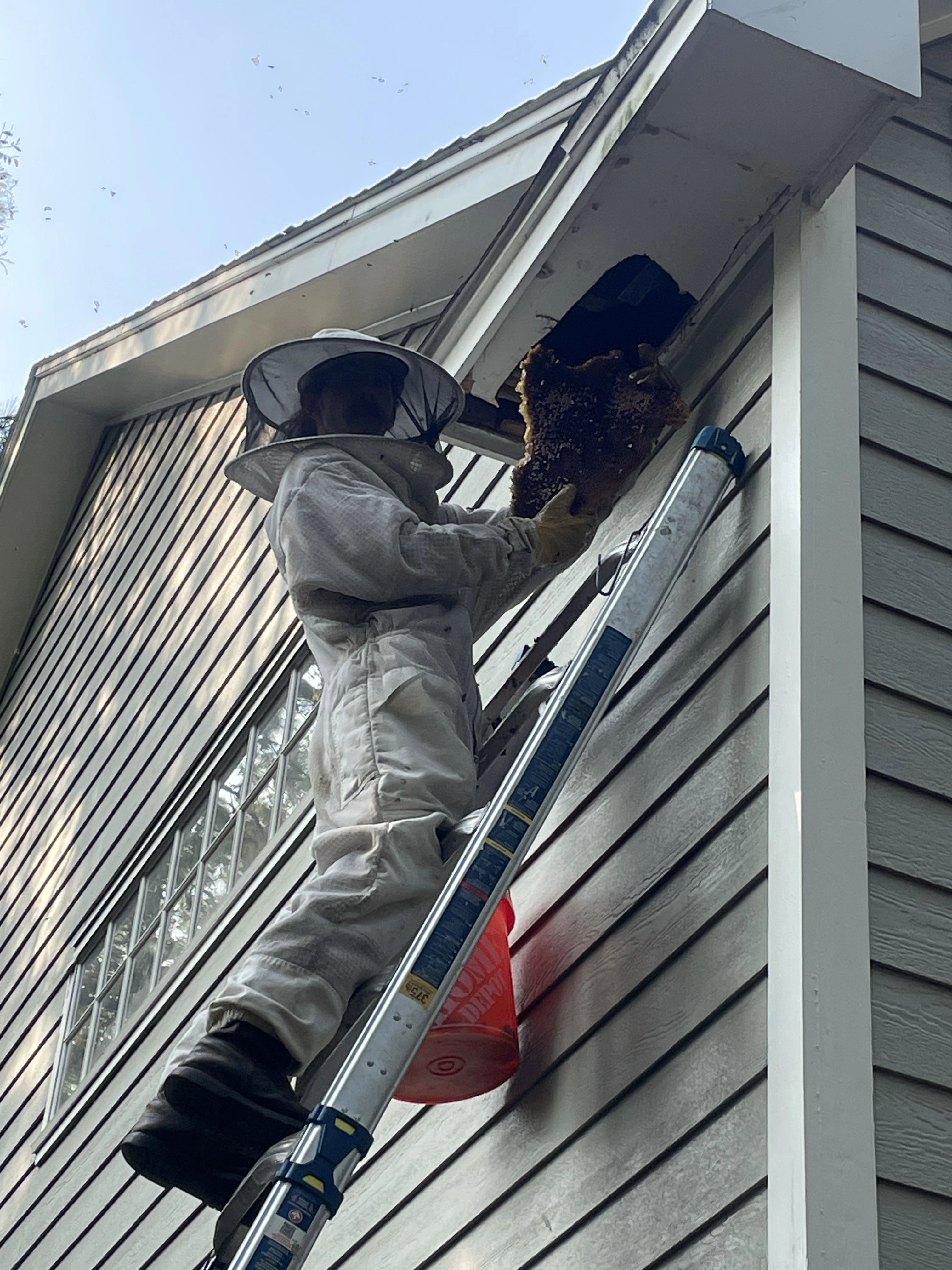 High-Reach Roof & Soffit Rescue