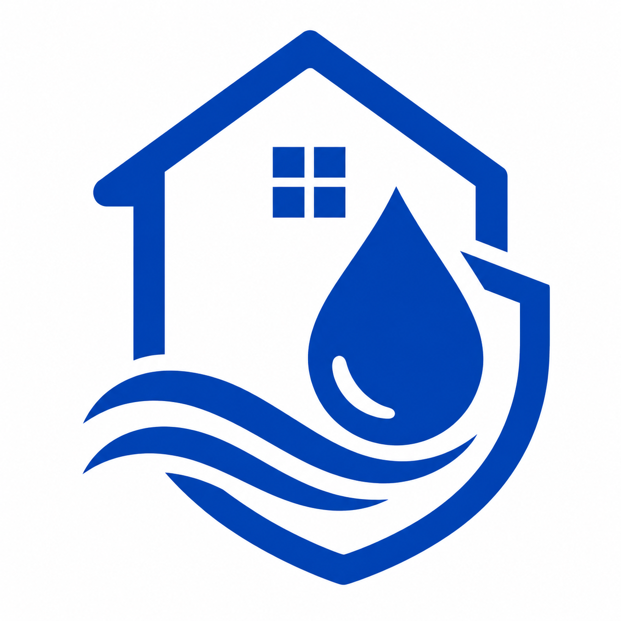 The Water Damage Pro