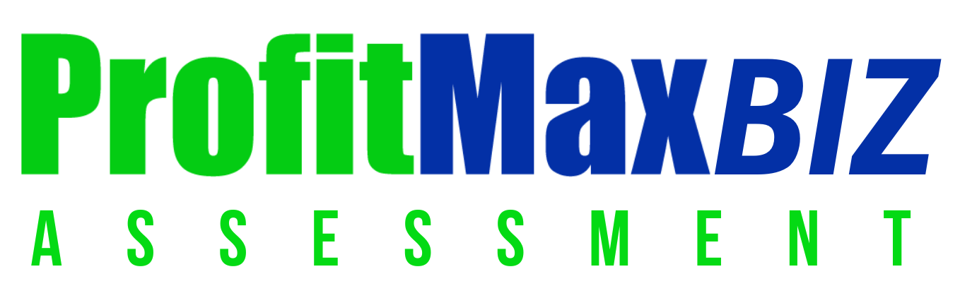 ProfitMax BiZ Assessment
