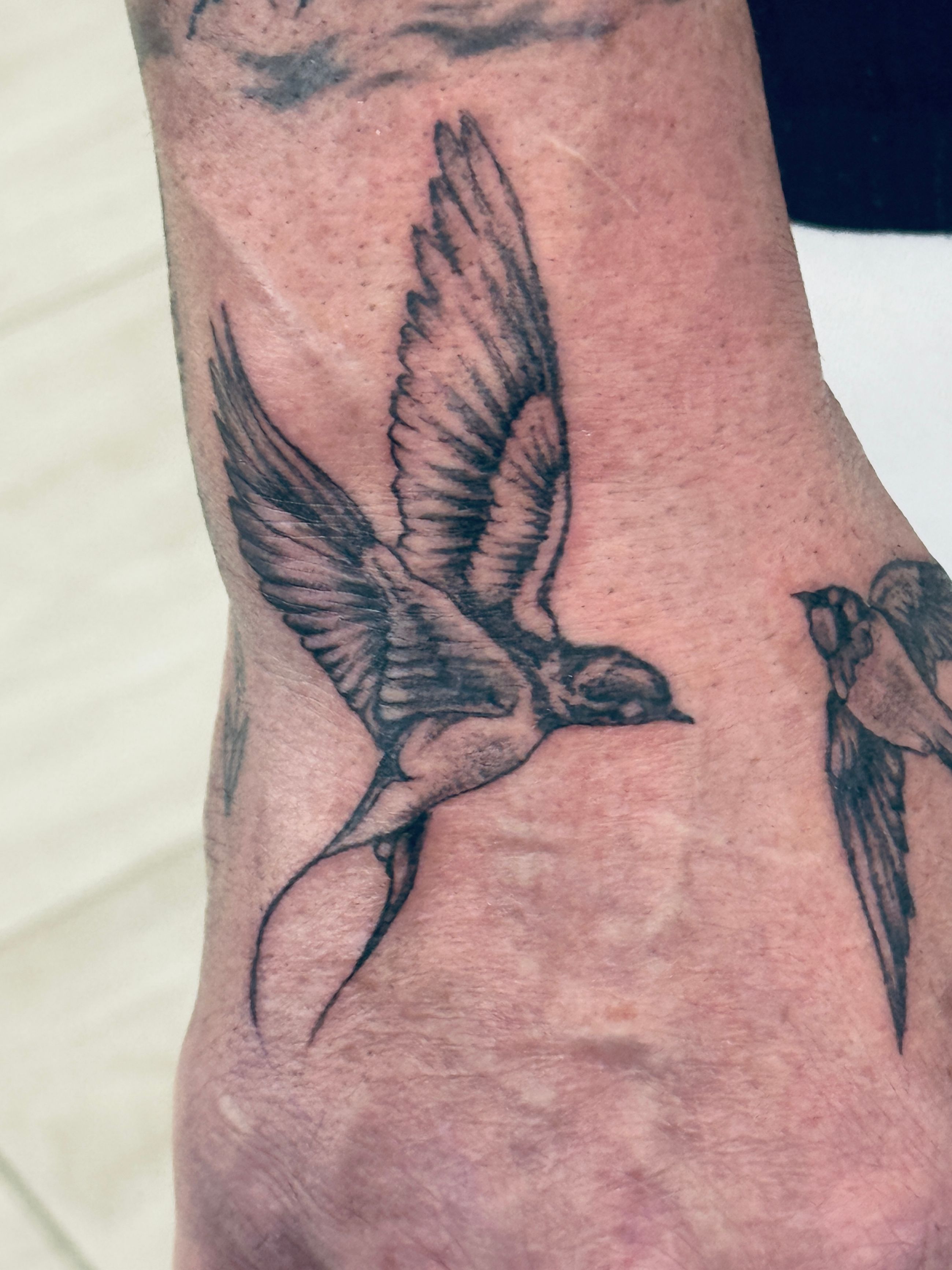 Swallow Realistic Tattoo Hand Tattoos by Steve Salzburg 40