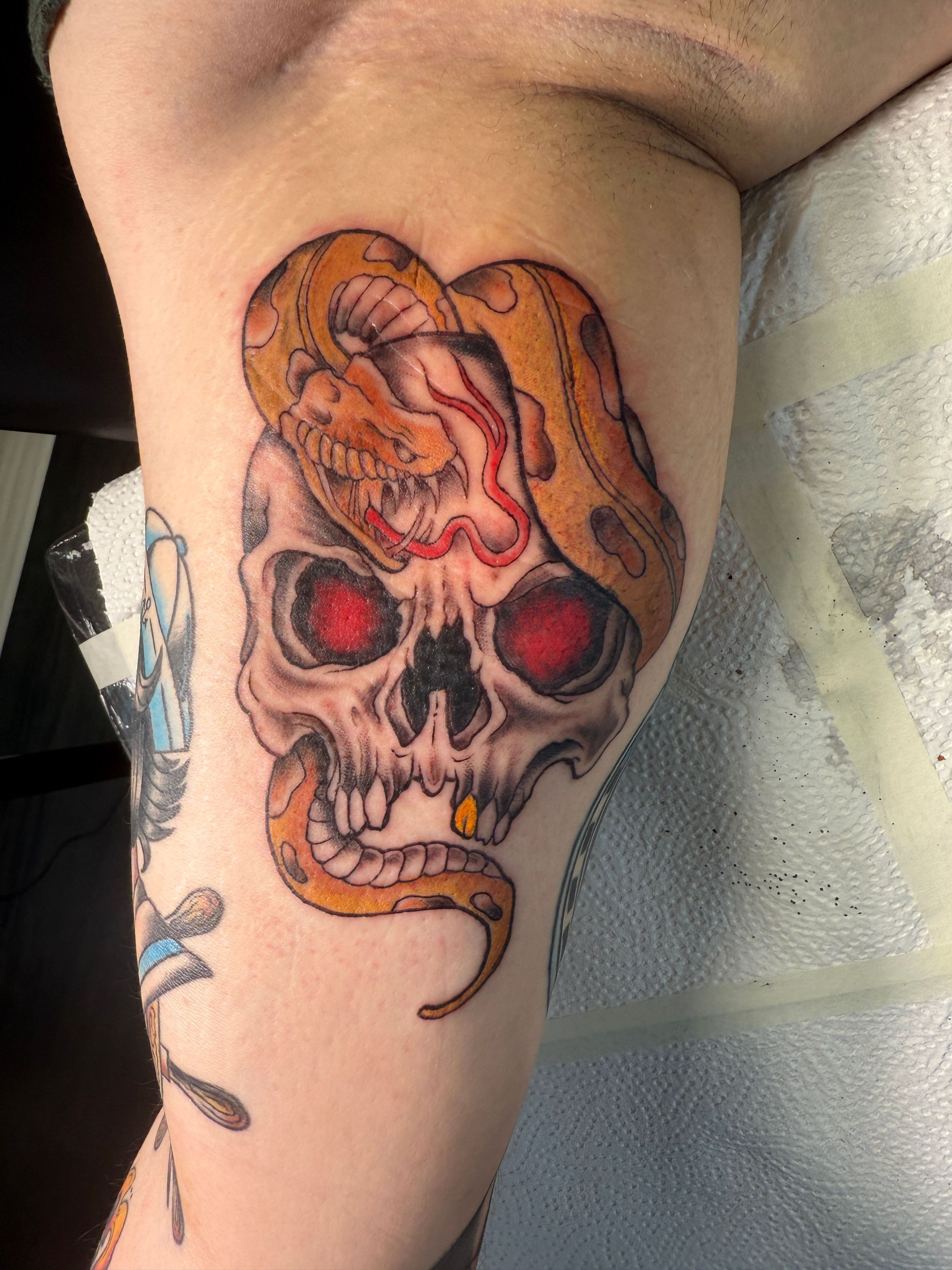 Skull Snake Neo Trad Tattoos by Steve Salzburg 39