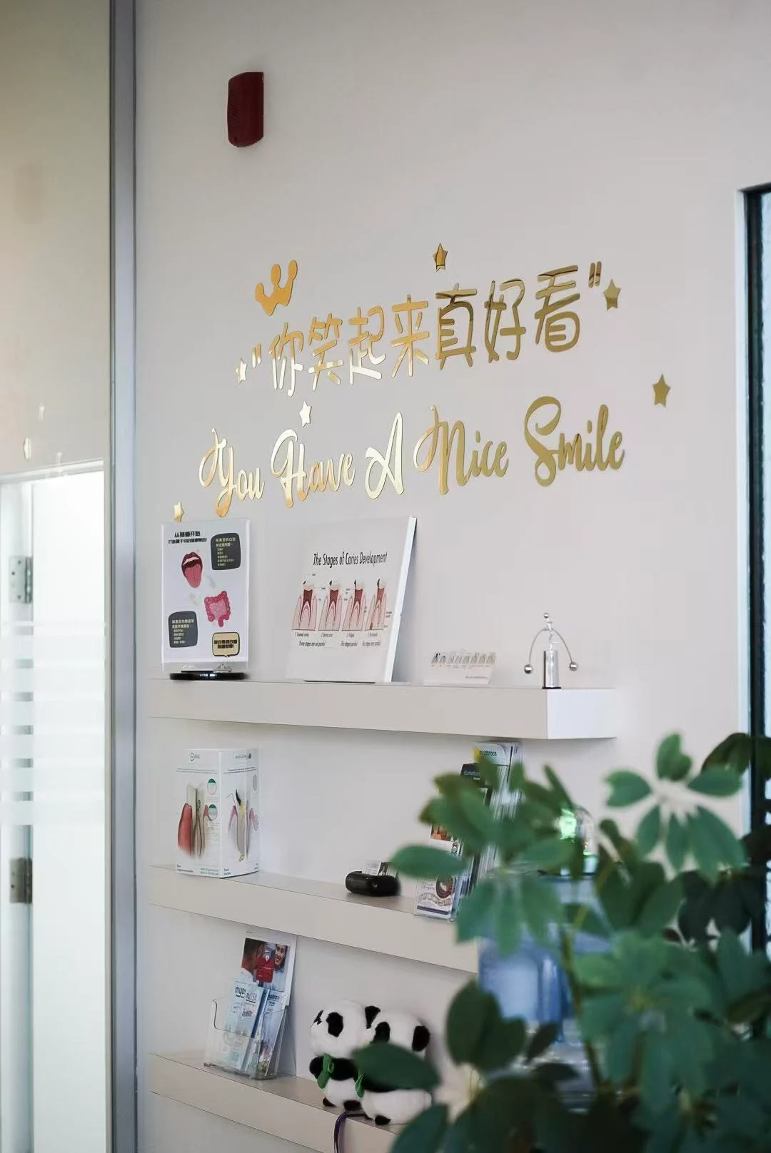 You Have A Nice Smile wall decal at CANAME Dental