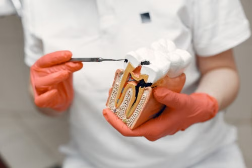 Who this dental service is for