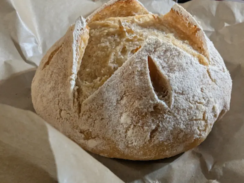 Gluten Friendly Sourdough White