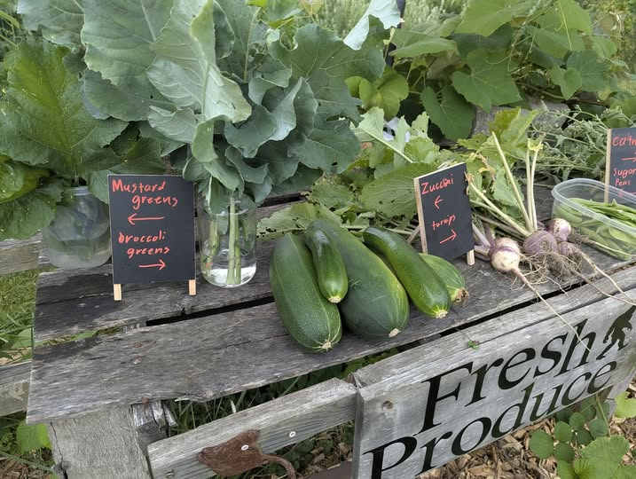 Free Veggies: A Little Extra from Renegade