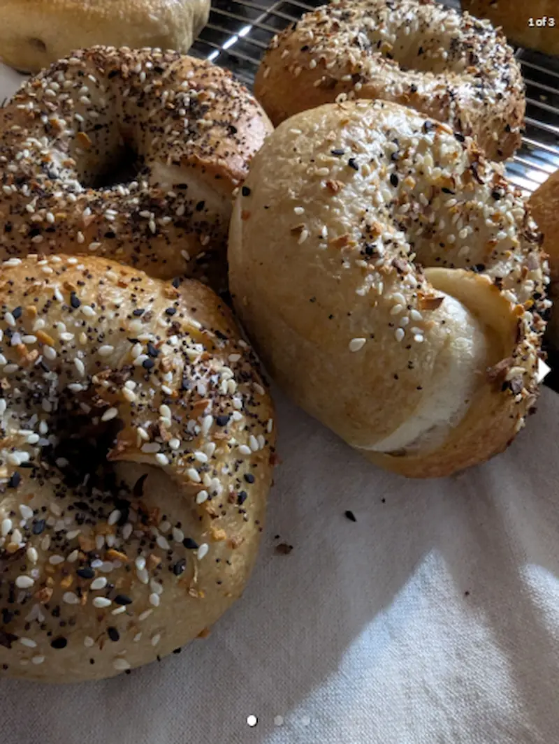 Everything Sourdough Bagels